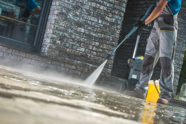 Best Soft Washing  in East Ithaca, NY