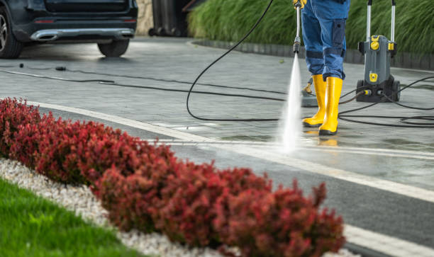 Best Sidewalk and Walkway Cleaning  in East Ithaca, NY